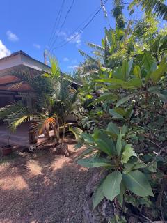 Pumakari Rapa Nui - Hanga Roa - 7
