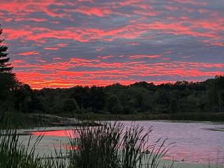 Fish~N~Moor Cabin - Hammond - 7