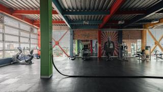 The Jungle Den Shared Mens Dormitory - Mexiko-Stadt - 3