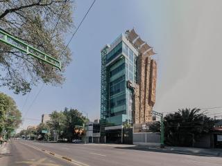 The Jungle Den Shared Mens Dormitory - Mexiko-Stadt - 3