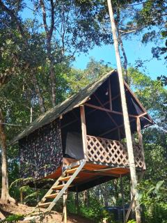 Camptop Munnar - Kallar Vattiyar - 6
