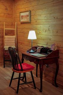 Pet Friendly Mountain Get Away - Ellijay - 5