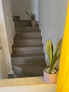 Minimalist House Equipped - Gómez Palacio - 4