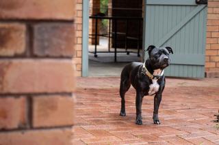 Blissful Escape - Margaret River - 4