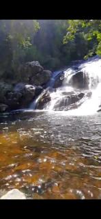 Canto dos Pássaros - Paraty - 7