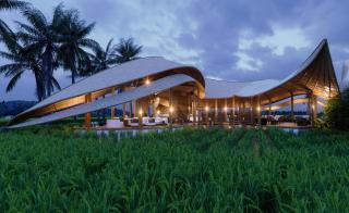 Green Lander Ubud - Ubud - 9