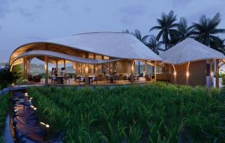 Green Lander Ubud - Ubud - 3
