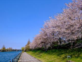 Hotel Morinokaze Tateyama - Toyama - 5