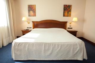 Hotel Villa De Almazan - Almazán - 8