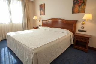 Hotel Villa De Almazan - Almazán - 7
