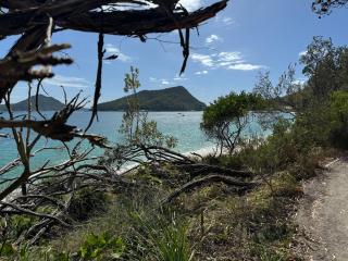 Frangipani - Shoal Bay - 9