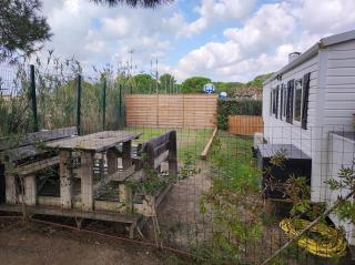 Camping La Marine - Le Grau-du-Roi - 9