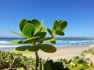 Beachcomber Cottage Springerbaai - Mossel Bay - 4