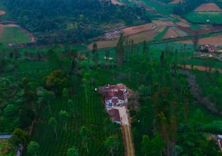 Silver Dale Tea Estate Bungalow Ooty by VOYE HOMES - 2