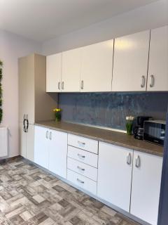 Vila Petreceri Private - Ştefăneştii de Jos - 4