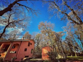Guest House La Selvotta - Formello - 6