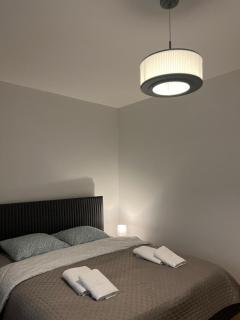 Spacious and modern loft with Balneo space - Geispolsheim - 1