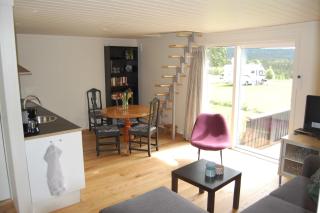 Apartment on Golsfjellet! - Gol - 0