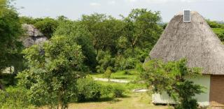 savannah murchison lodge - Kasenyi - 6