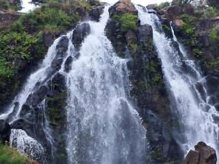 Waratah Waterfall Retreat Unit1 Free WiFi & Free Pay TV - Waratah - 1