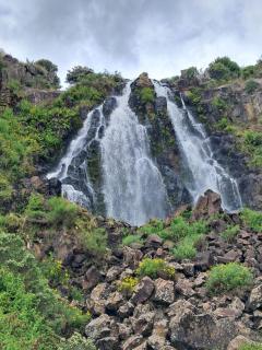 Waratah Waterfall Retreat Unit1 Free WiFi & Free Pay TV - Waratah - 9