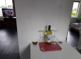 Platypus Heaven Waratah Waterfall Retreat Unit1 Free Pay TV In 2 Rooms Free Bottle Wine & Free WiFi - 6