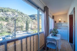 Le Vieux Pont - Vue montagne parking privé - Amélie-les-Bains-Palalda - 9
