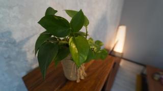 Estudio Gober - Madrid - 4