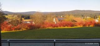 Haidműhle Šumava - Haidmühle - 3