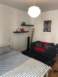 Amazing Studio in Geneva - Ginevra - 5