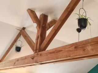 Jungalow - tidordognehomes - 5