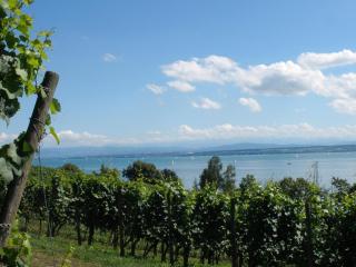 Haus Baden - Hagnau am Bodensee - 7