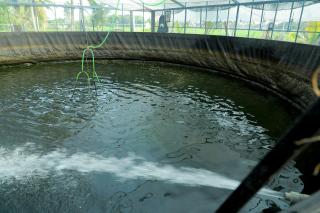 Mulanthanam resorts and Home stay - Champakulam - 4