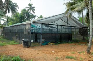 Mulanthanam resorts and Home stay - Champakulam - 1