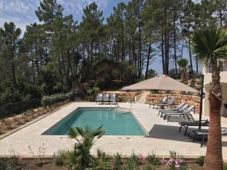 Contemporary villa with swimming pool - Emponse - 4