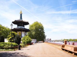Chelsea Battersea Apt & Private Rooftop Terrace - Londra - 7
