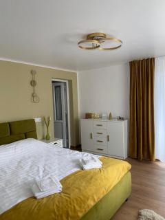 Gap Mountain House - Săgagea - 9
