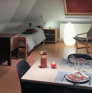 gezellige studio in Brasschaat nabij Antwerpen - Brasschaat - 8