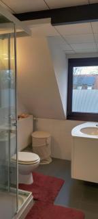 gezellige studio in Brasschaat nabij Antwerpen - Brasschaat - 4