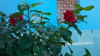 Dan Family Homestay - 3