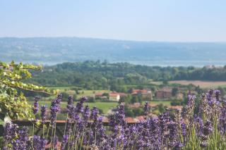 Villa La Limonera - 9