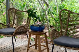 The Hideaway Bush Retreat - Wagait Beach - 7