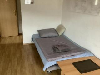 Ferienwohnung Eva und Alexander - Hirschbach - 6