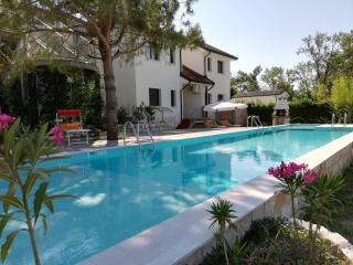 Liza 2 - Palazzo Vianello - 5