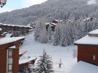 Chalet Noëlla - Chalet traditionnel en bois à 250m des pistes, centre et animations, 14 pers - FR-1-513-60 - La Tania - 3