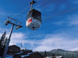 Chalet Noëlla - Chalet traditionnel en bois à 250m des pistes, centre et animations, 14 pers - FR-1-513-60 - La Tania - 1