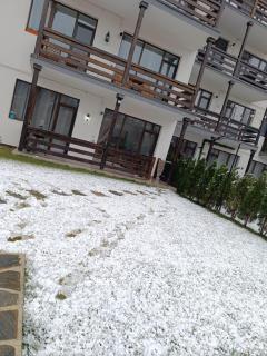 Nabil's garden apartment - Buşteni - 8