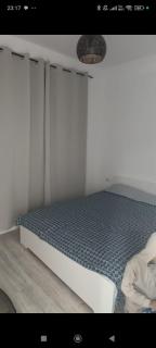 Nabil's garden apartment - Buşteni - 3