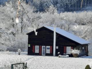 Chalet familial avec grand jardin et équipements pour enfants, à 500m du centre de Ban-sur-Meurthe - FR-1-589-33 - Ban-sur-Meurthe-Clefcy - 9