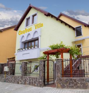 Cosbuc Residence & Villa - Sighişoara - 0